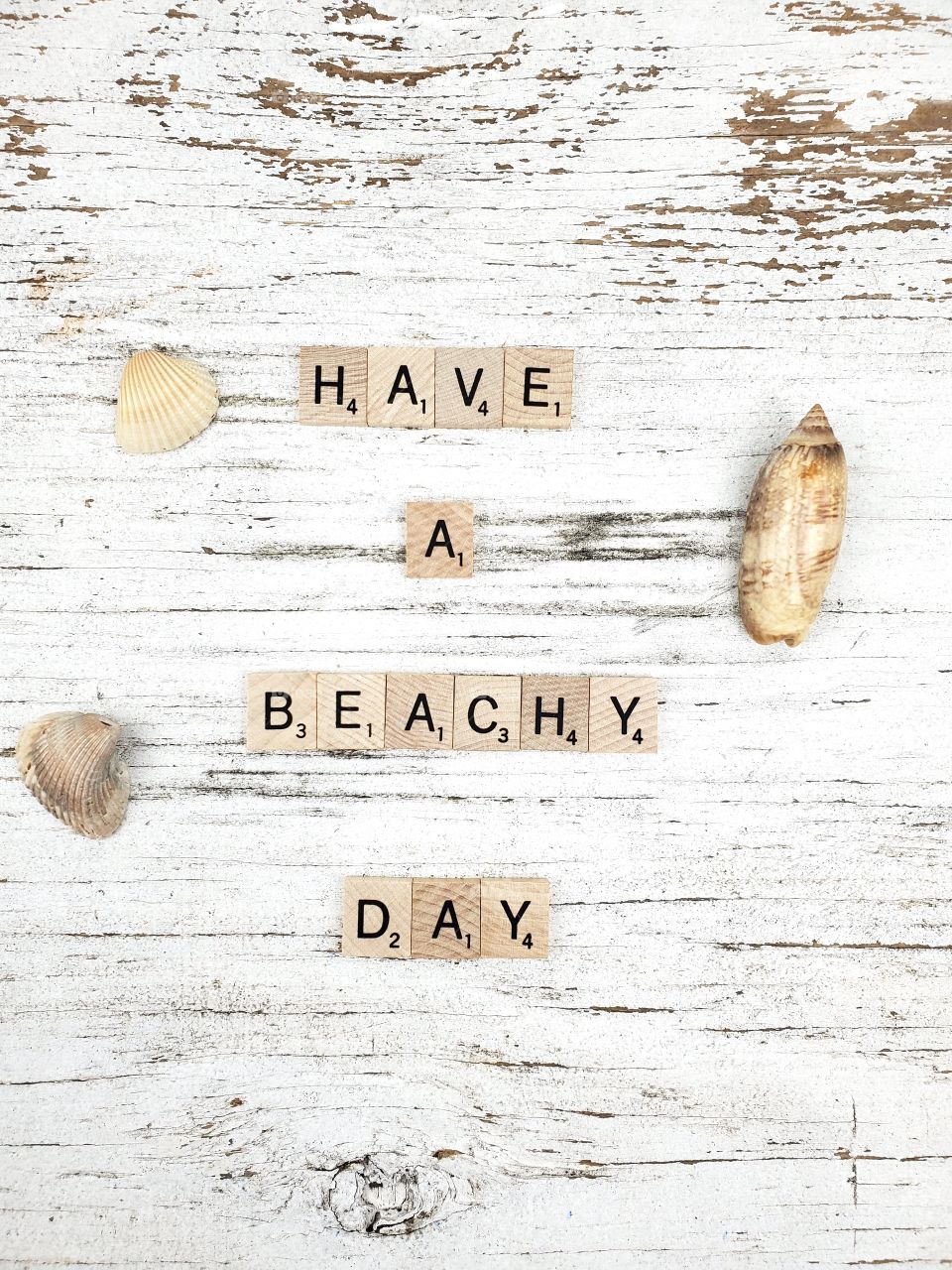Square wooden word have a beach day and seashells on a rustic white background 