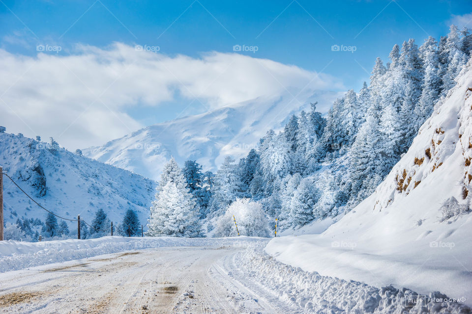 Winding road in winter