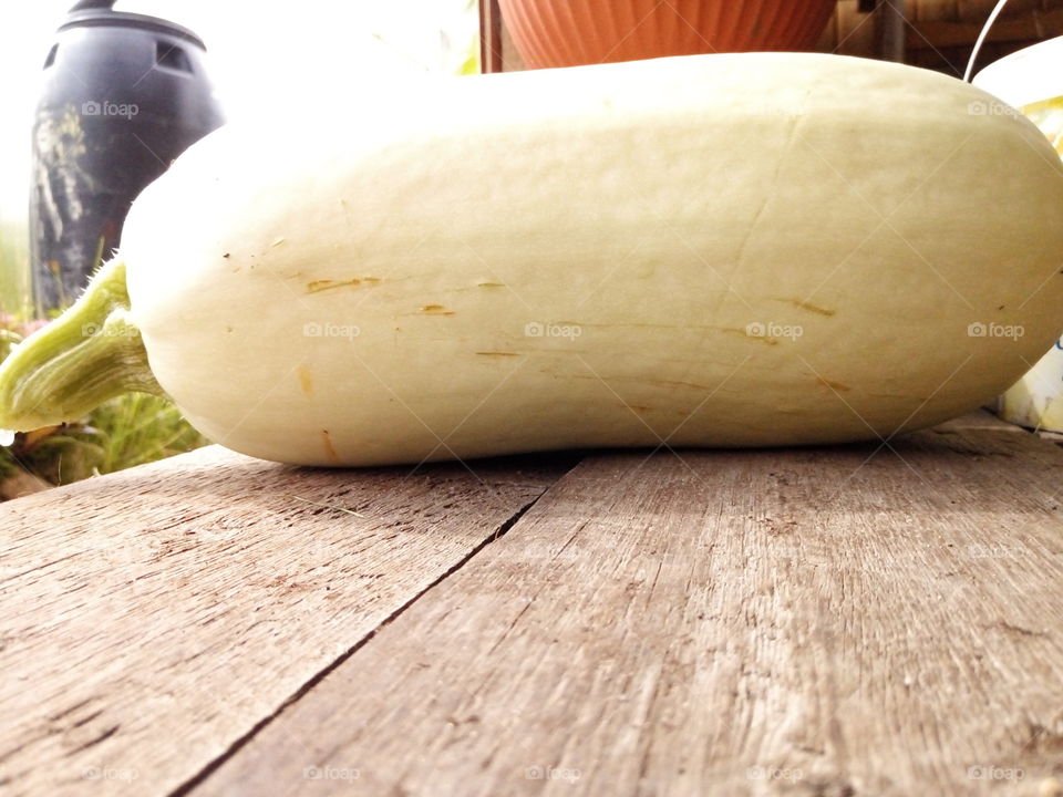 овощи.кабачки.огород.