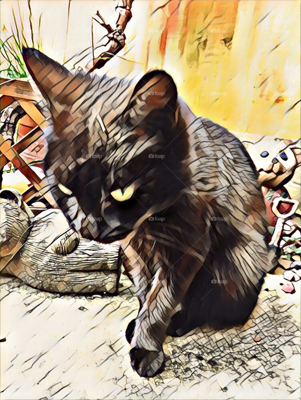 Black cat sitting in the garden art