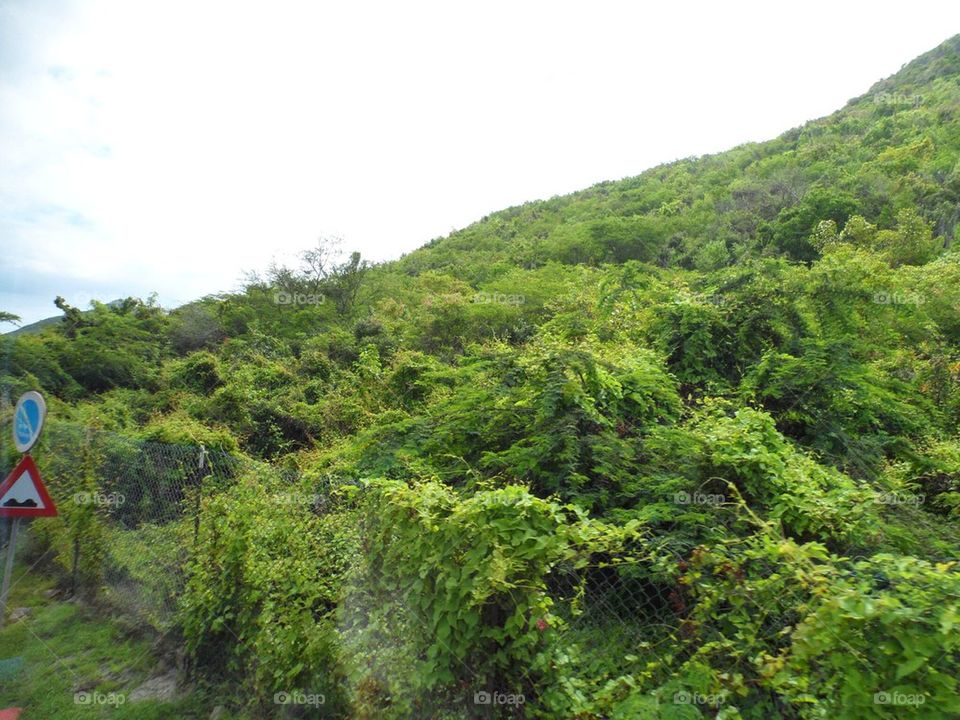 Tropical hill in St. Maarten