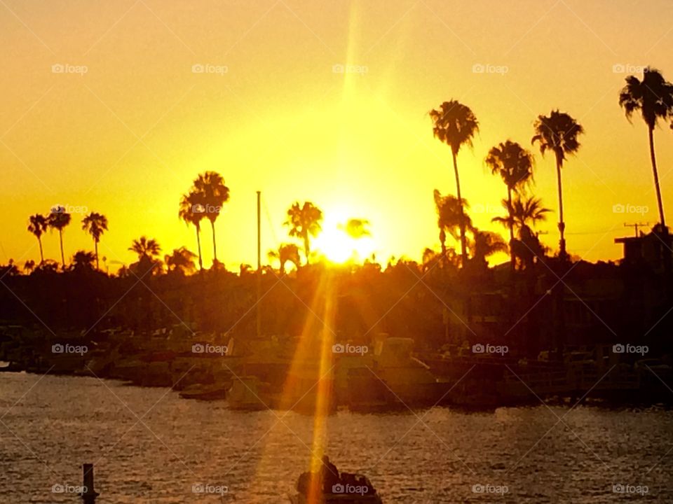 Sunrise over harbor and trees at coastline