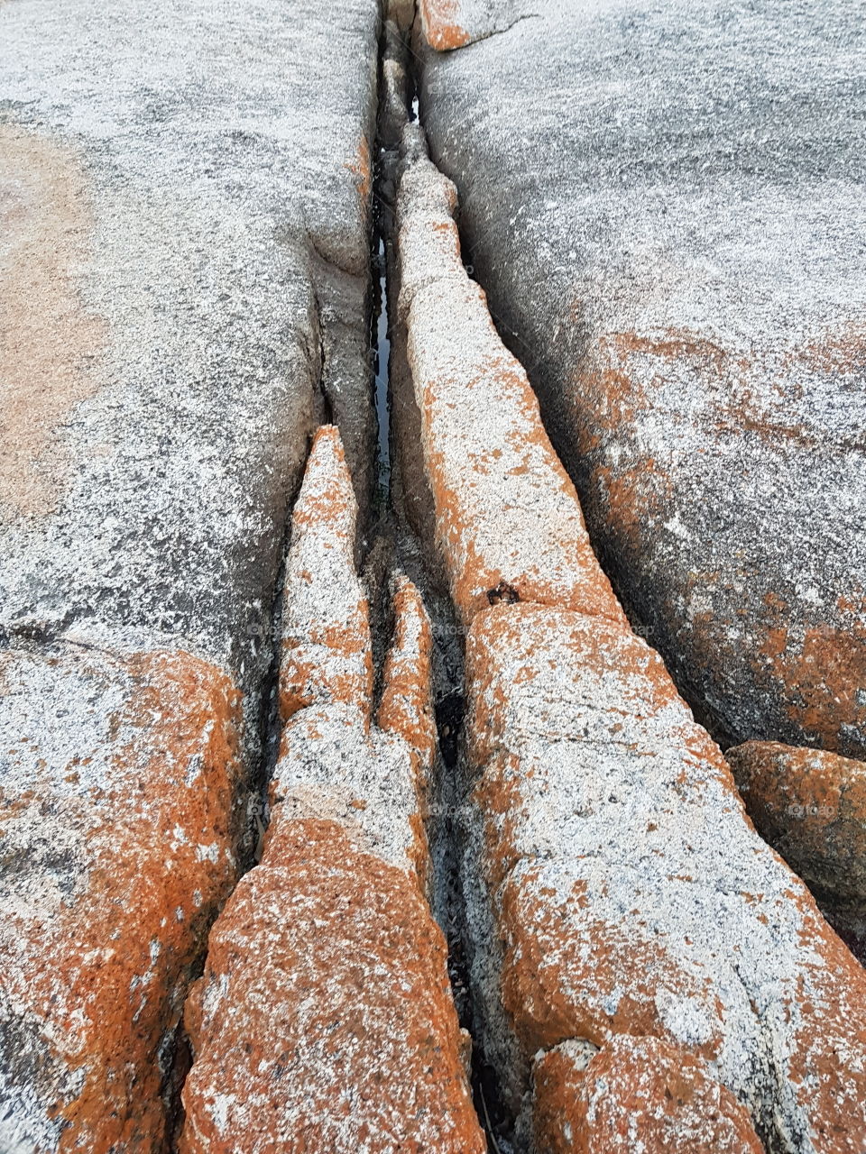 Interesting textured rocks