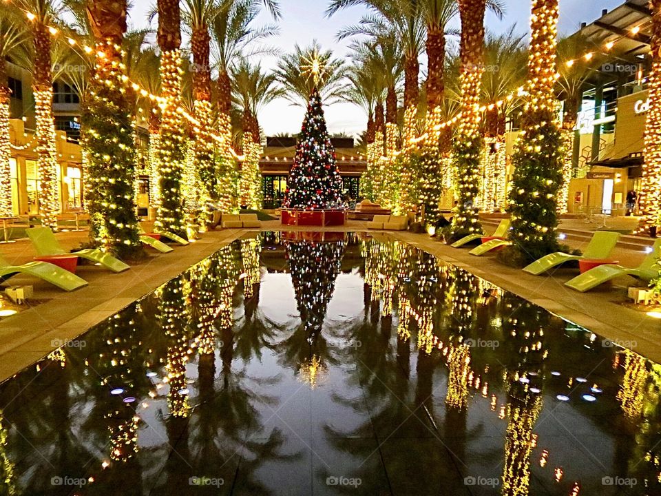 Christmas tree reflecting in the water and surrounded by palm trees.