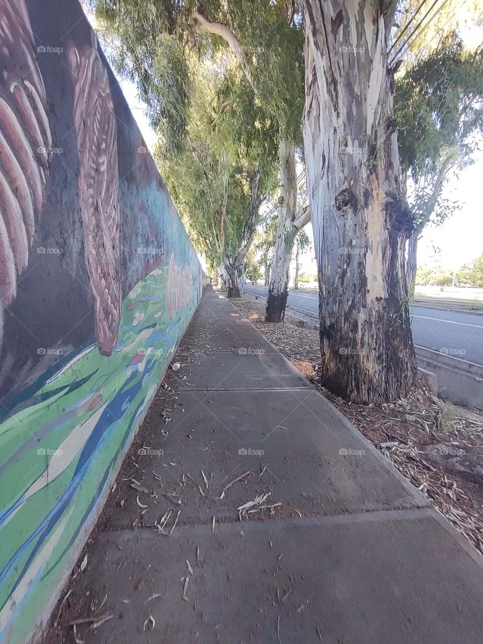 paisaje ,natural .Mendoza , argentina #natural landscape, Mendoza Argentina