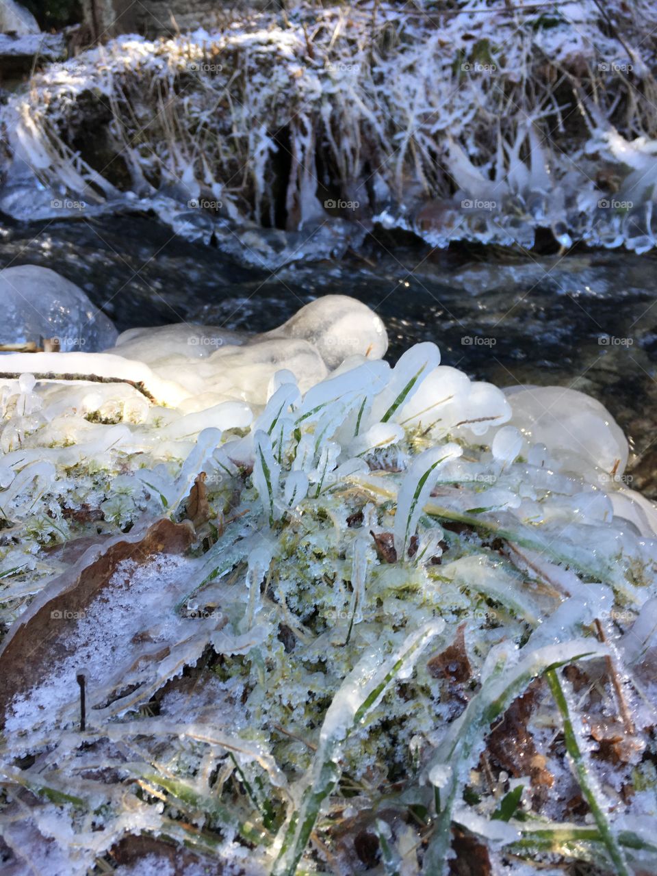 Frozen creek banks