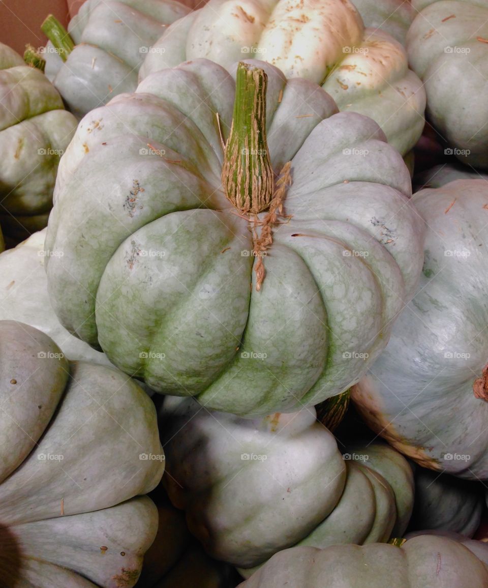 Jarrahdale Pumpkins. Stack of decorative Jarrahdale pumpkins.