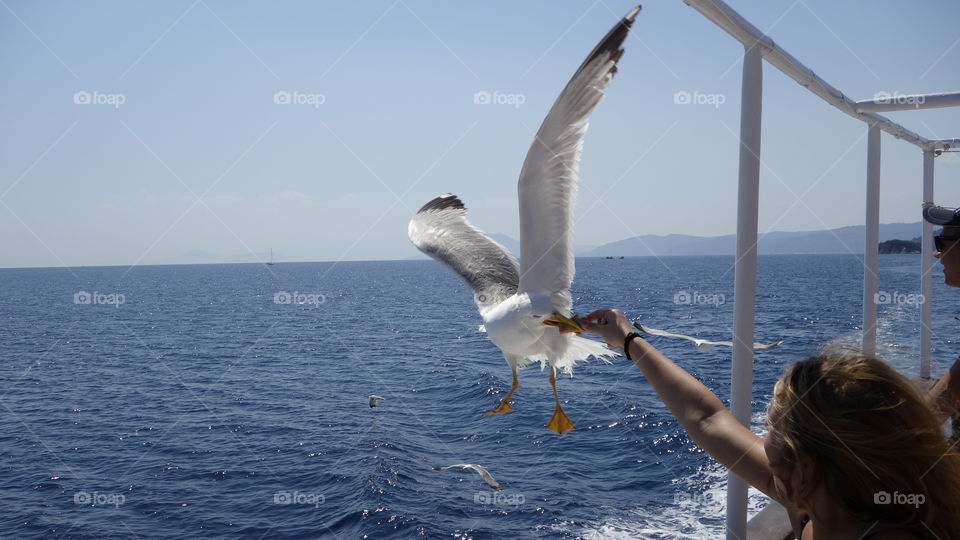 Couple feeding seagull at sea