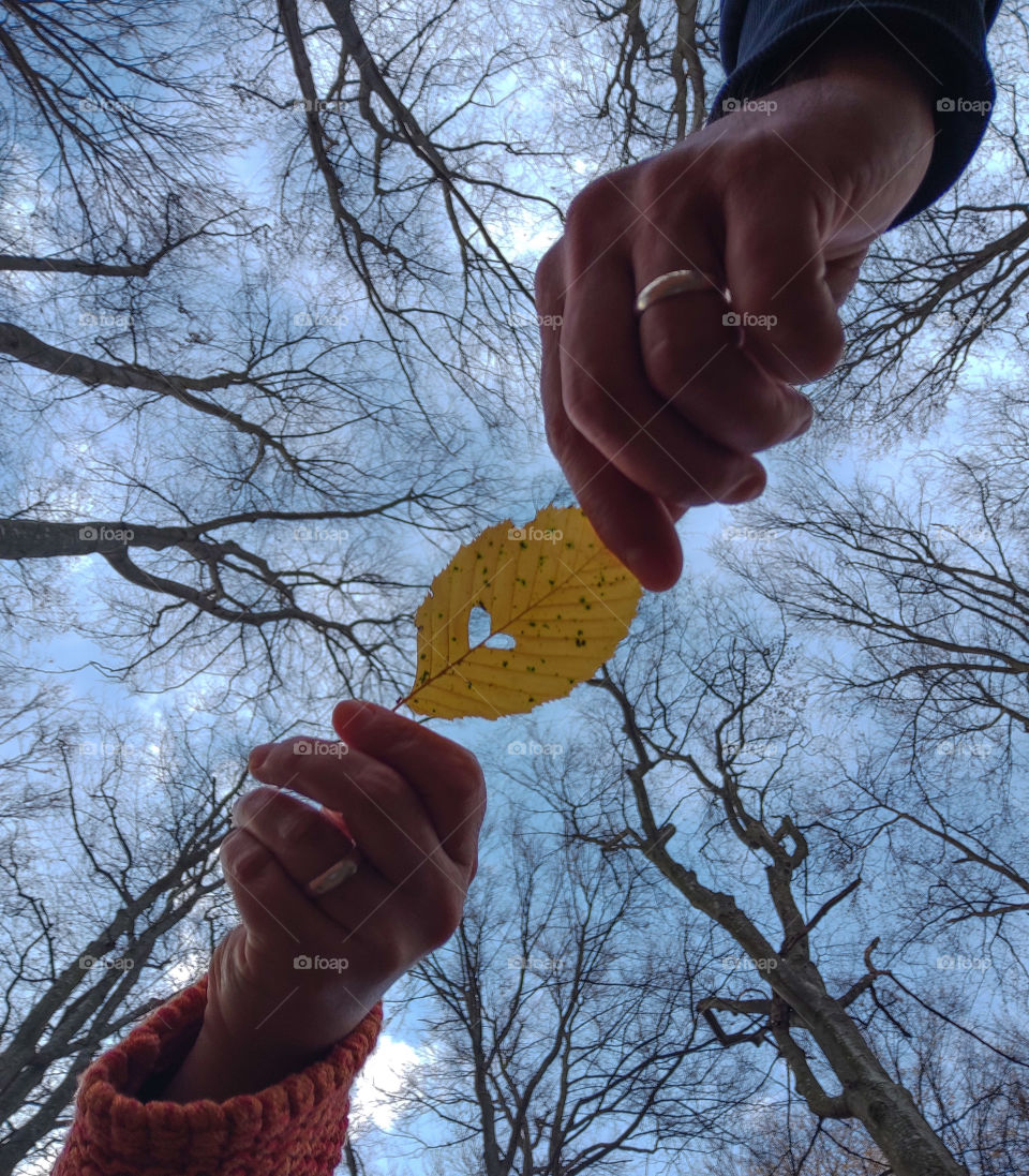 Love sign from the nature