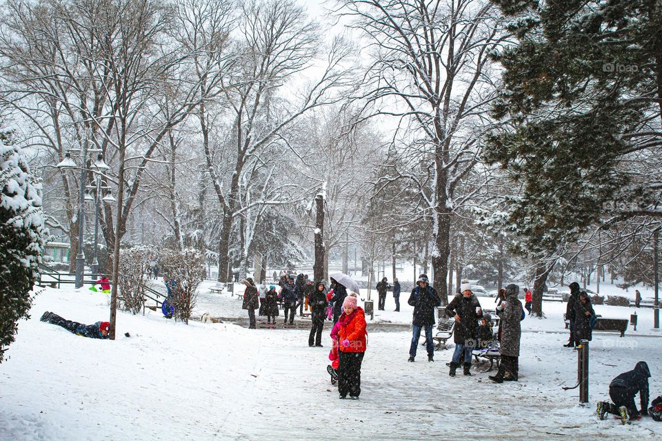 A winter sledding on the first snow