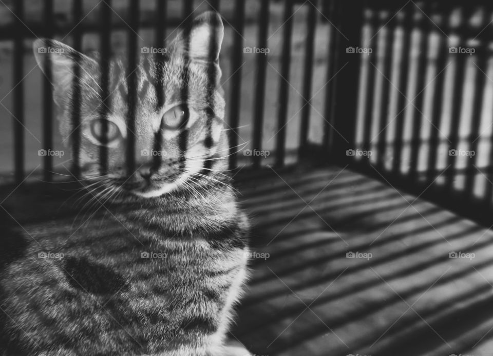 I feel like I’m being watched