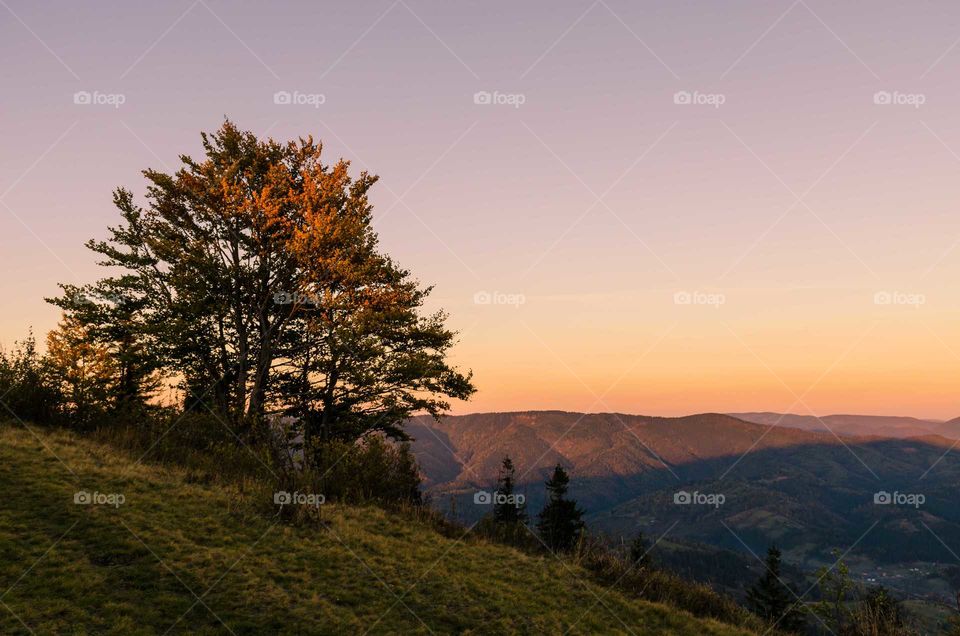 carpathian mountains during the sunset