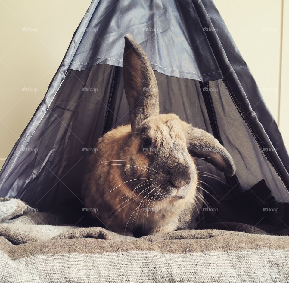 Peter in his Tipi