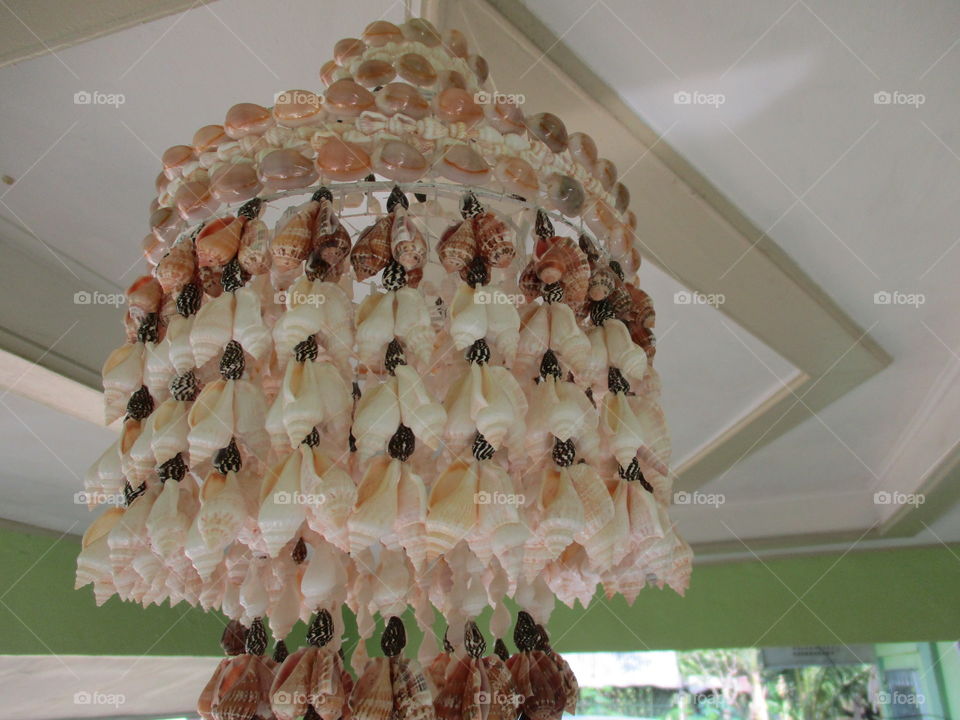 shell decoration