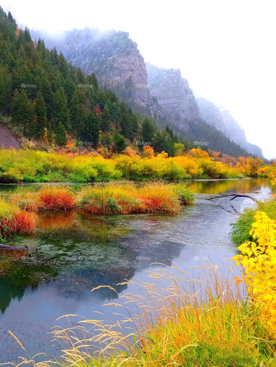 my favorite town fall foliage