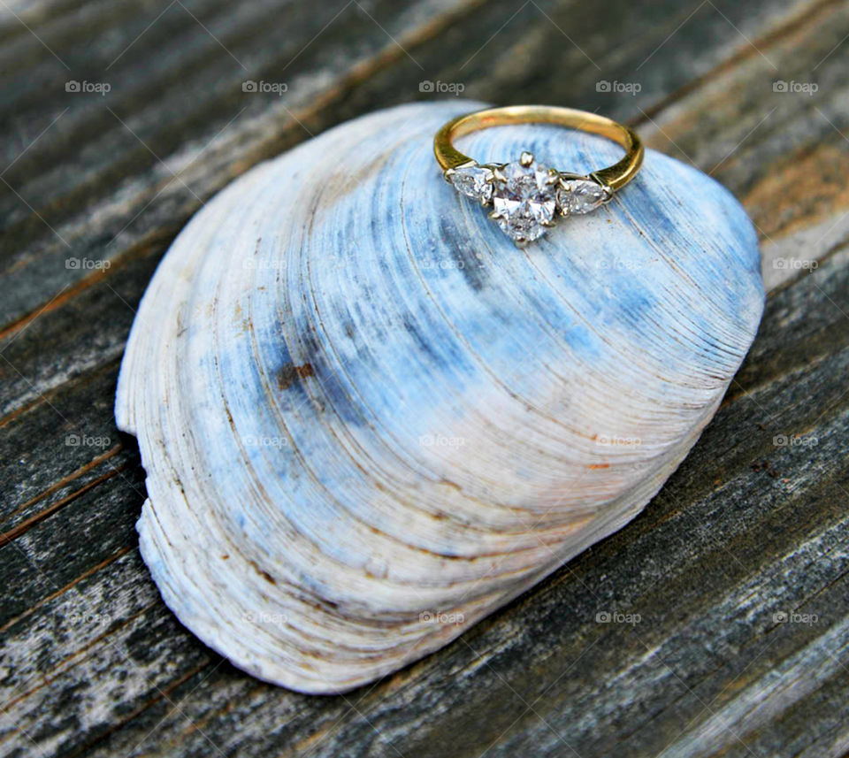 engagement ring. engagement ring on seashell