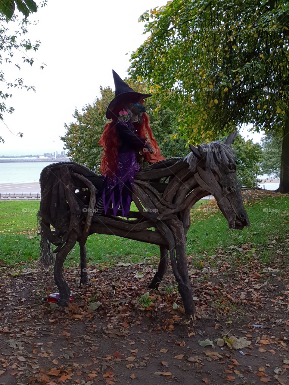 Witch on a driftwood horse