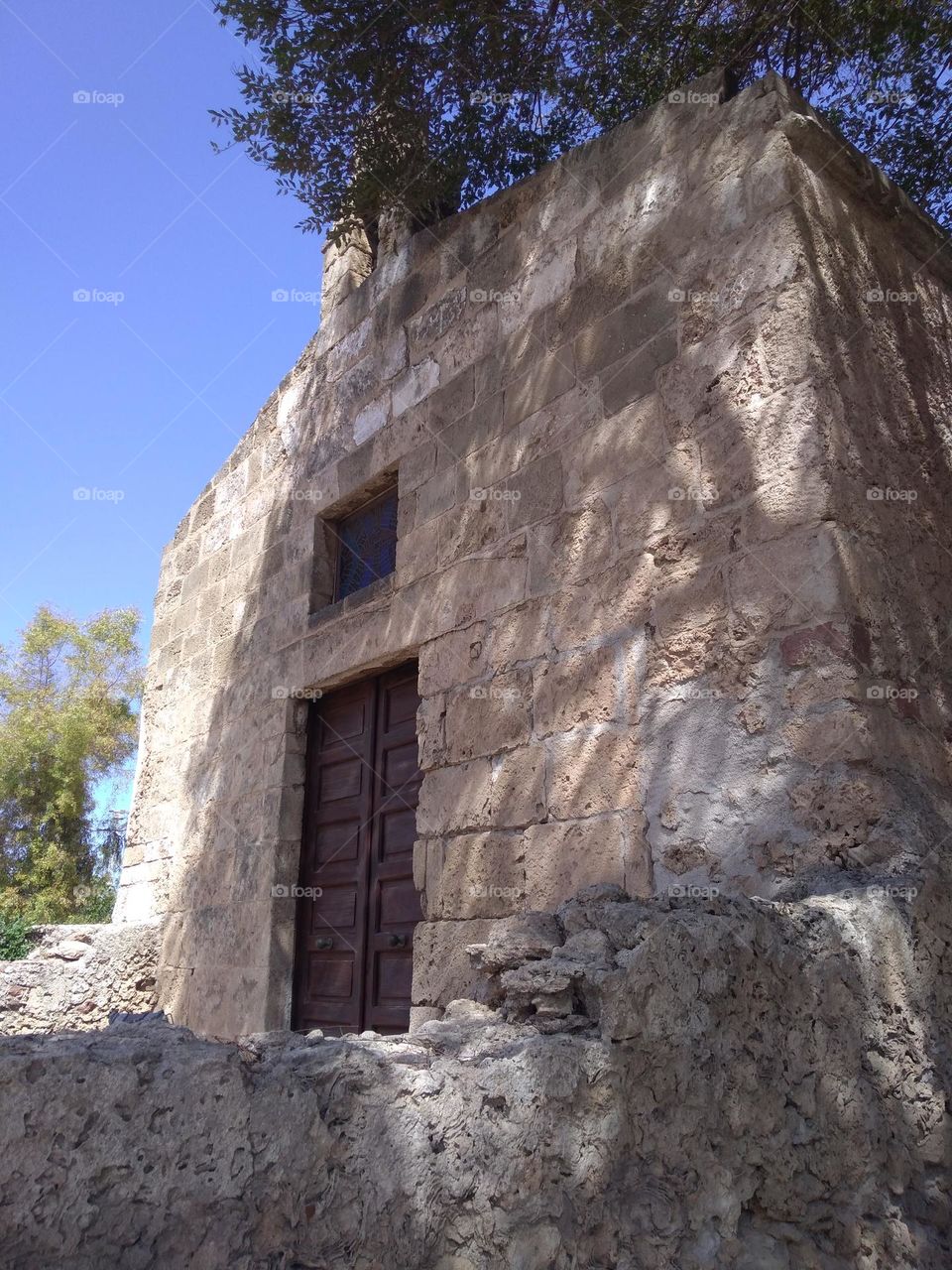 Editors' Choice - Photo of the Week