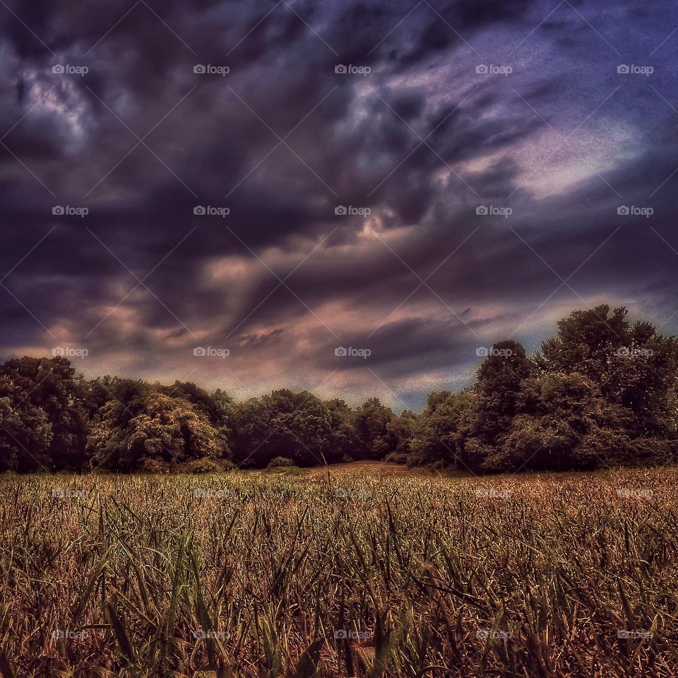 Sinister storm clouds . A thunderstorm blows in. 