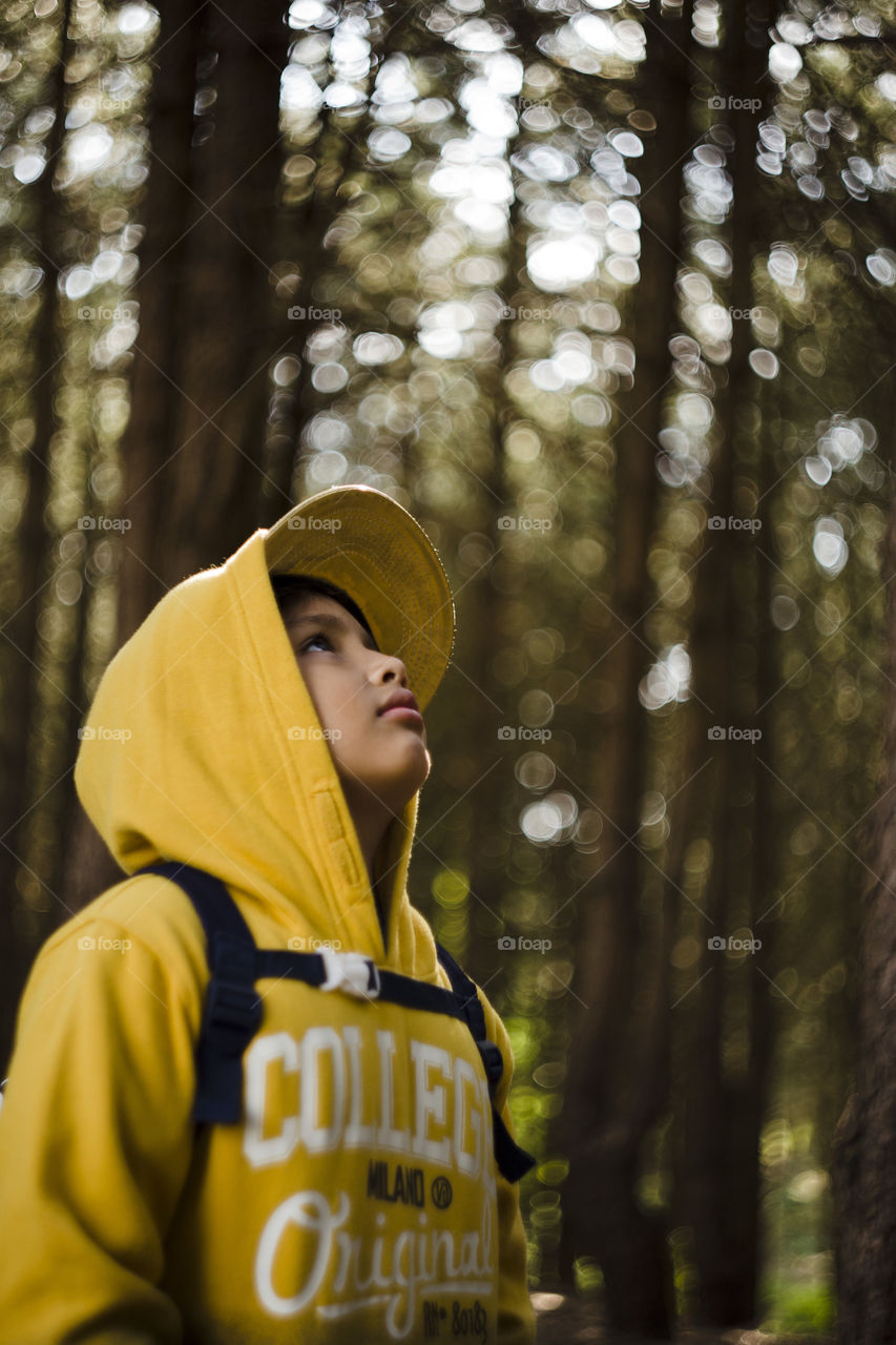 Seasonal outdoor close up portrait of a lonely Eurasian kid hiking in a pine forest wood.Natural setting, the boy is wearing yellow sweater with hood and cap, looking at his hand surrounded by pinetrees and magical day light bokeh