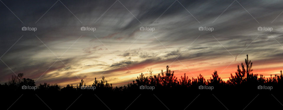 Sunset, Dawn, Landscape, Evening, Silhouette