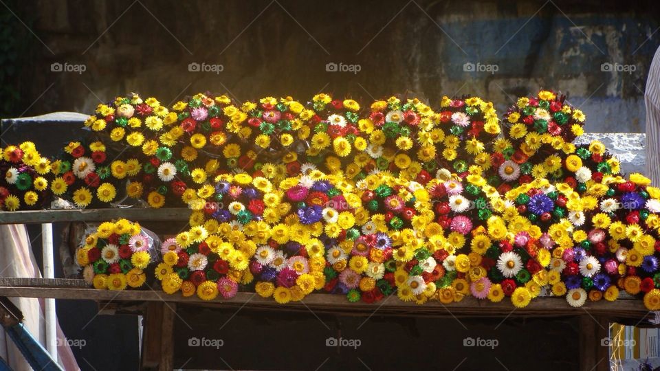 Flowers
