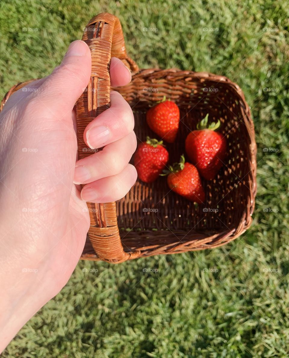 Delicious strawberries in a basket - healthy snacks 