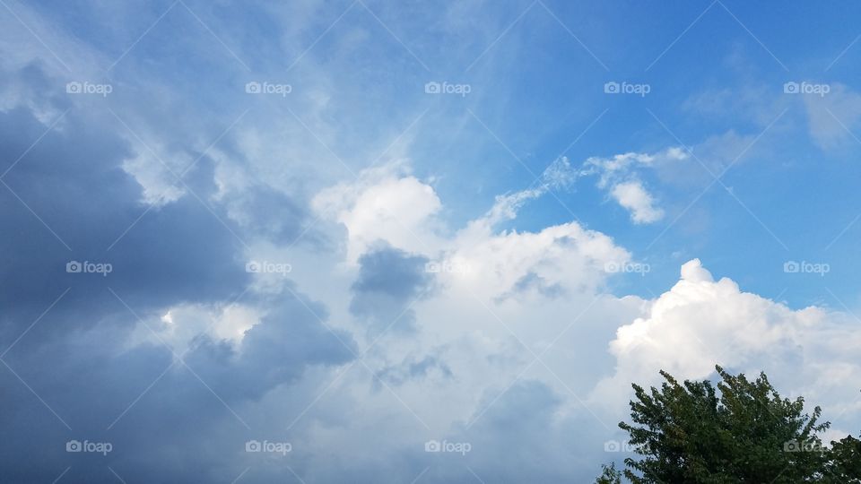 No Person, Nature, Sky, Summer, Outdoors