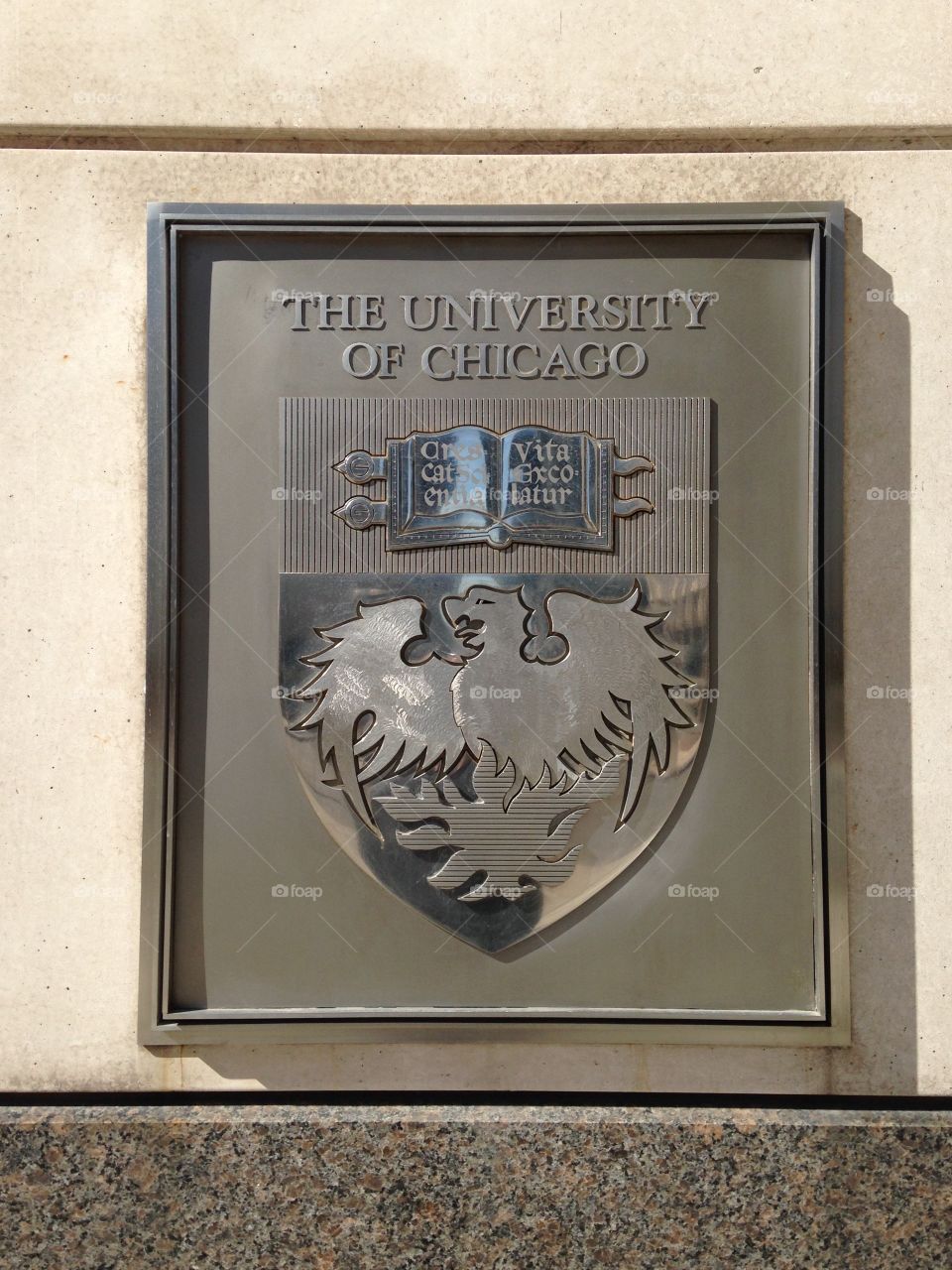 University of Chicago