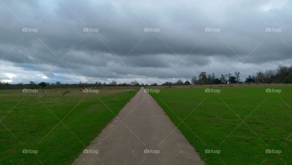 pathway into a storm