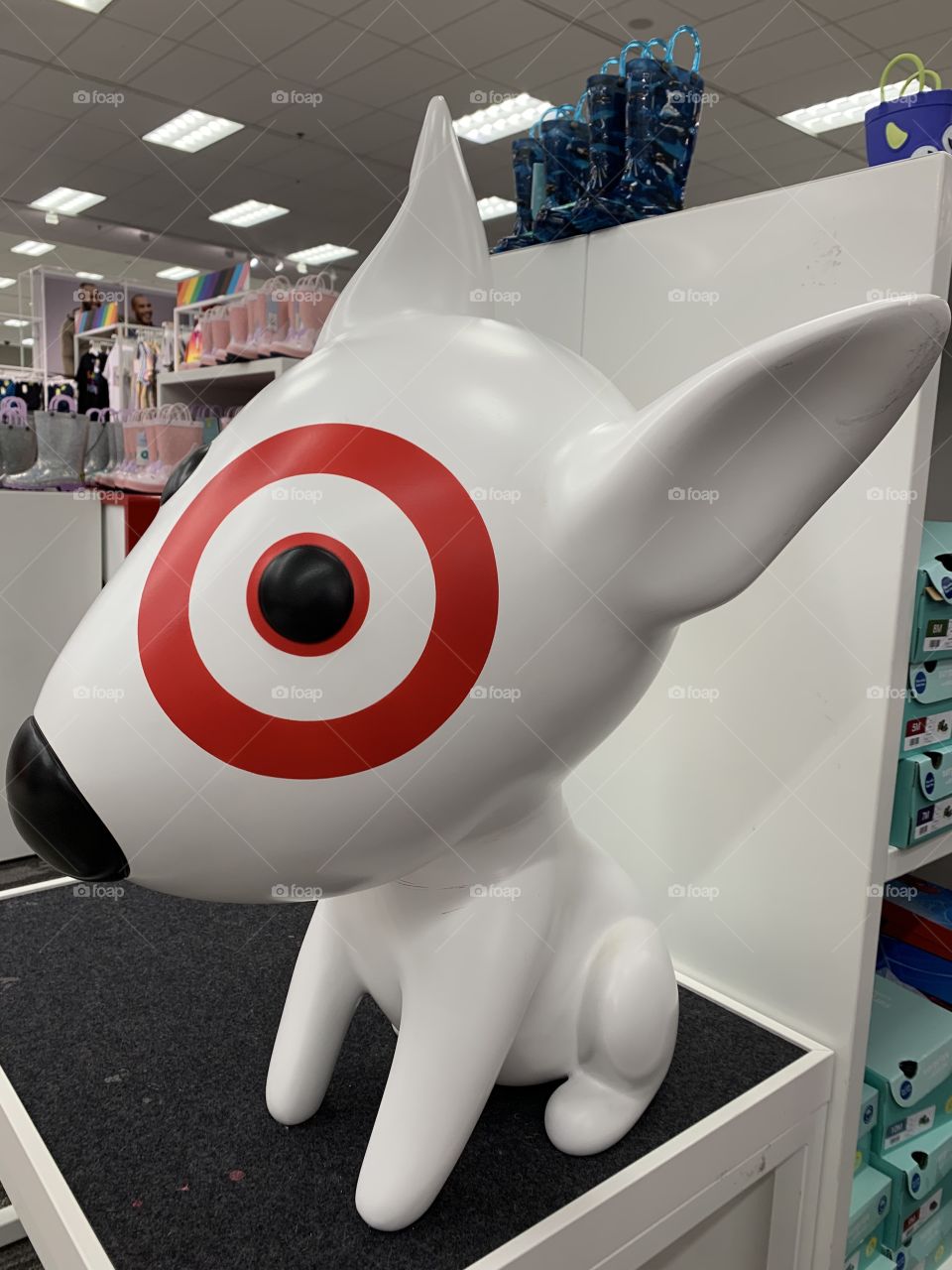 Target dog 