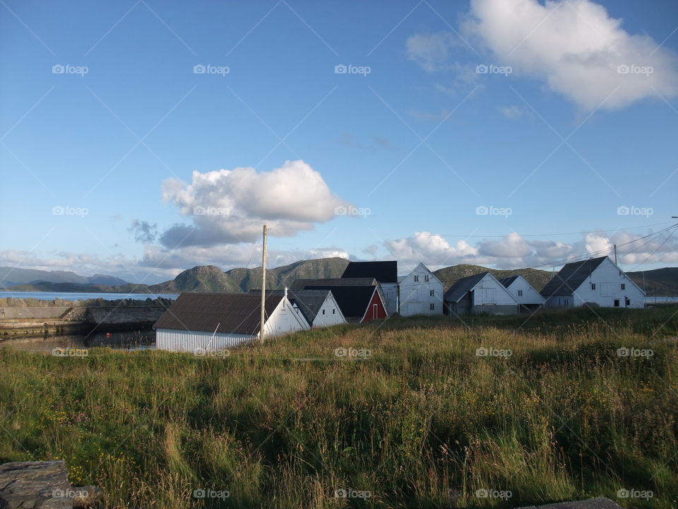 Summer vacation in Norway Runde island.