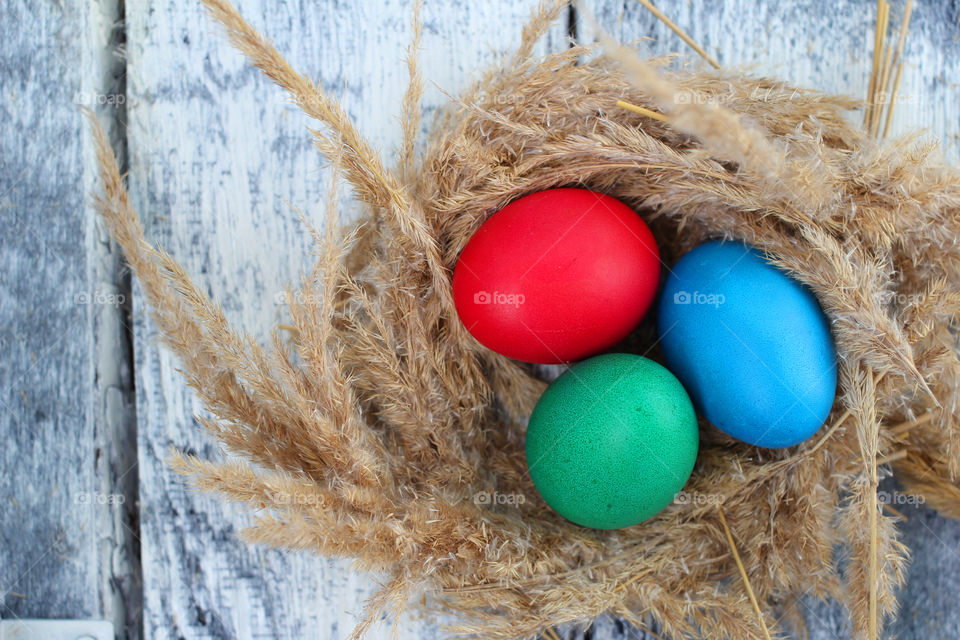 Multi coloured eggs in nest