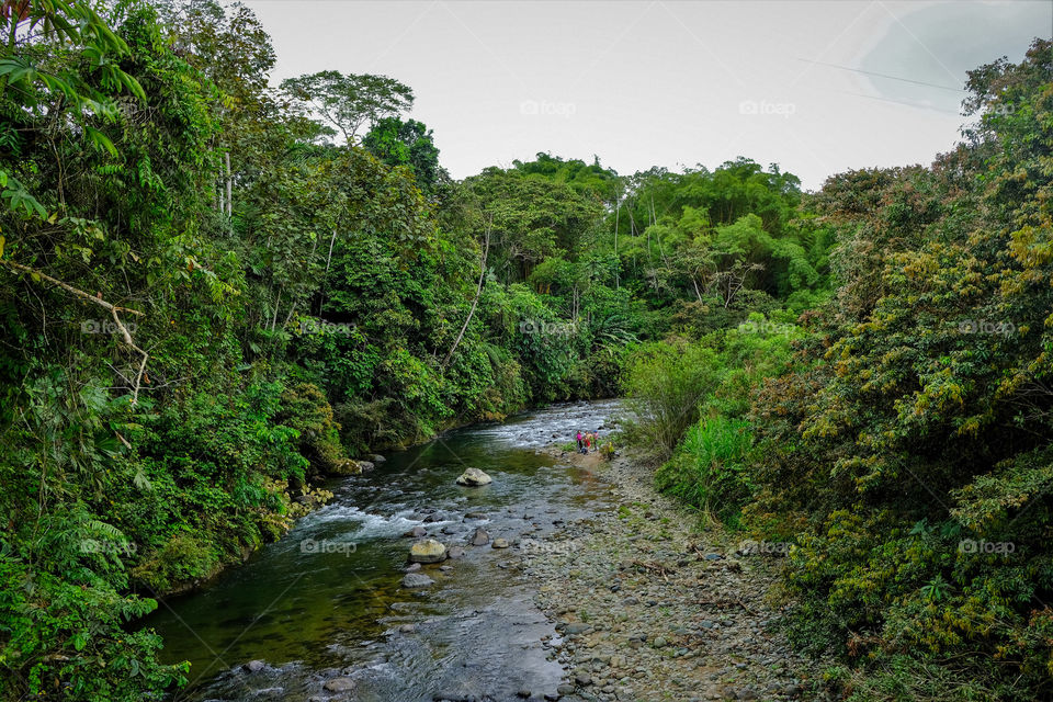 Plentiful river in the eastern Amazon