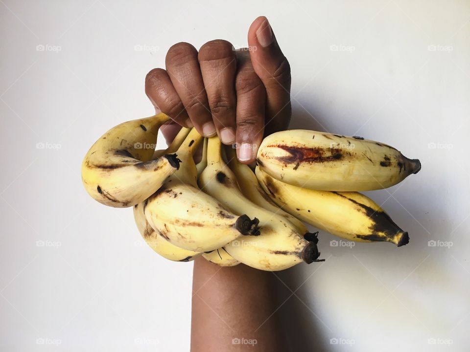 Studio shot of bunch of bananas