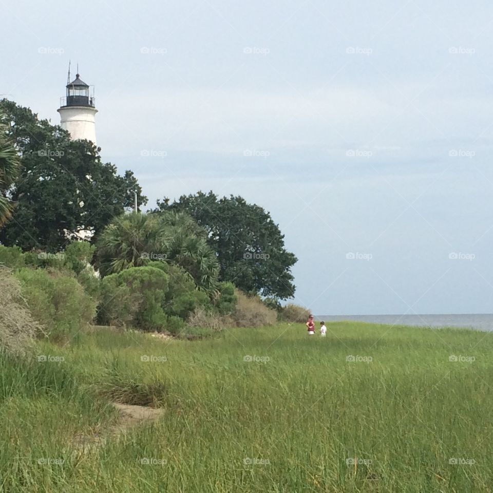Lighthouse at Saint Mark's wildlife preserve. Florida. 