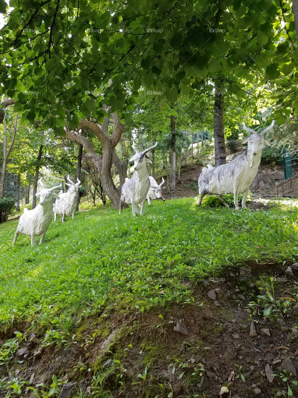 mountain goat sculptures in the hills of the dikman vadesi park in Ankara Turkey