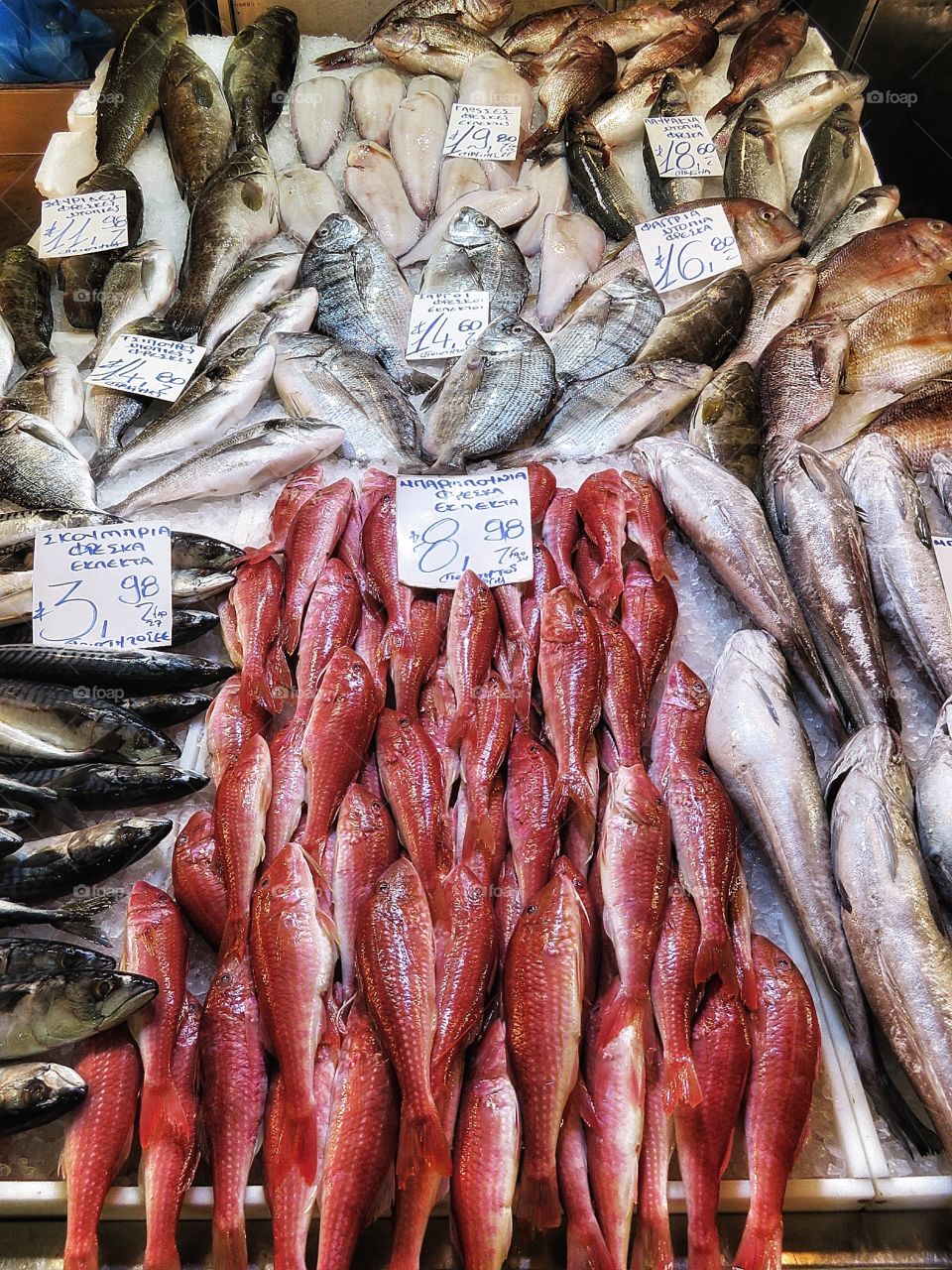 Athens central market - fish stall