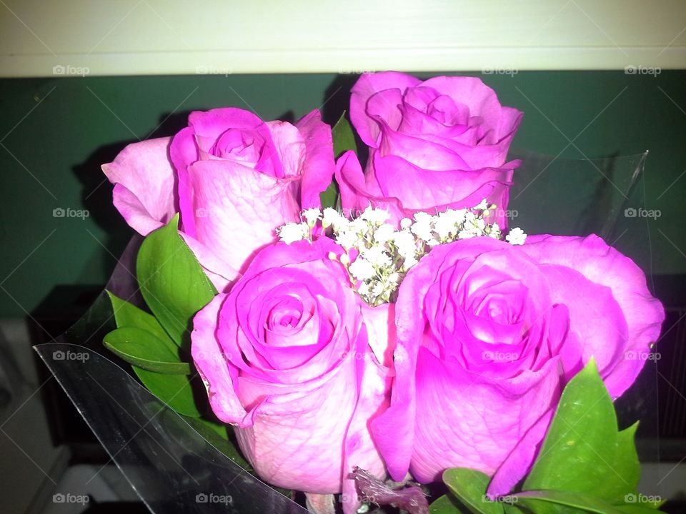 Hot pink roses. My husband likes to surprise me with unusual color roses