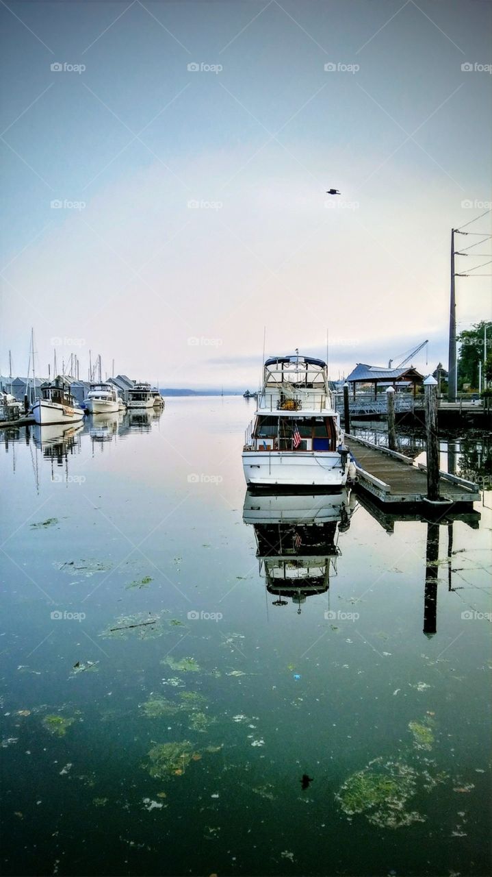 Boats at Port Olympia