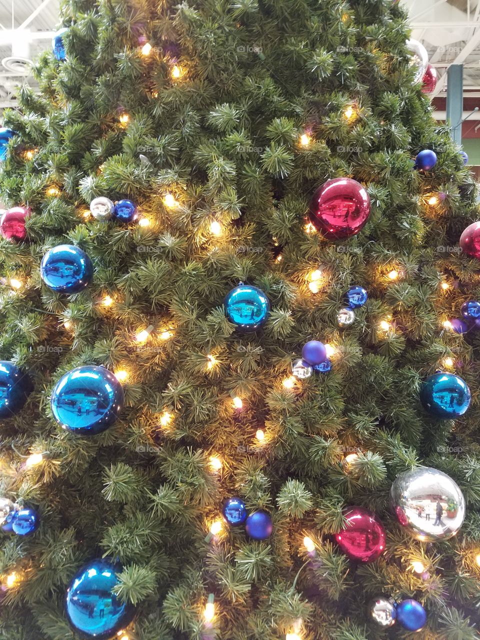 Christmas Tree