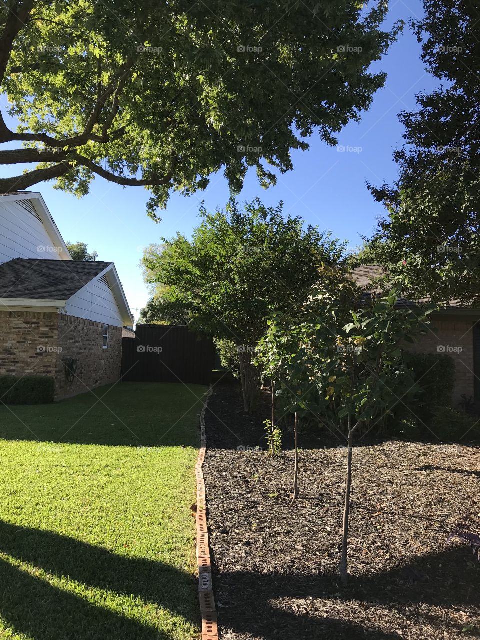 My water efficient Texas yard 