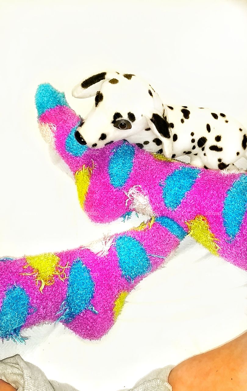 poke a dot socks with spotted toy dog