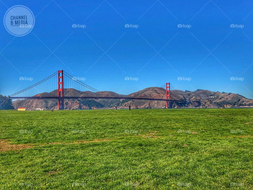 Crissy Field 