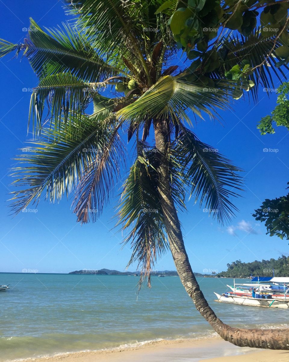 Philippines palawan port Barton 