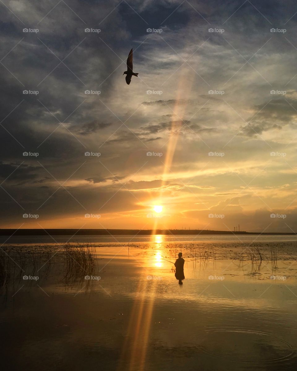 Sunset on the river. A fisherman is in the water, a bird is flying in the sky.