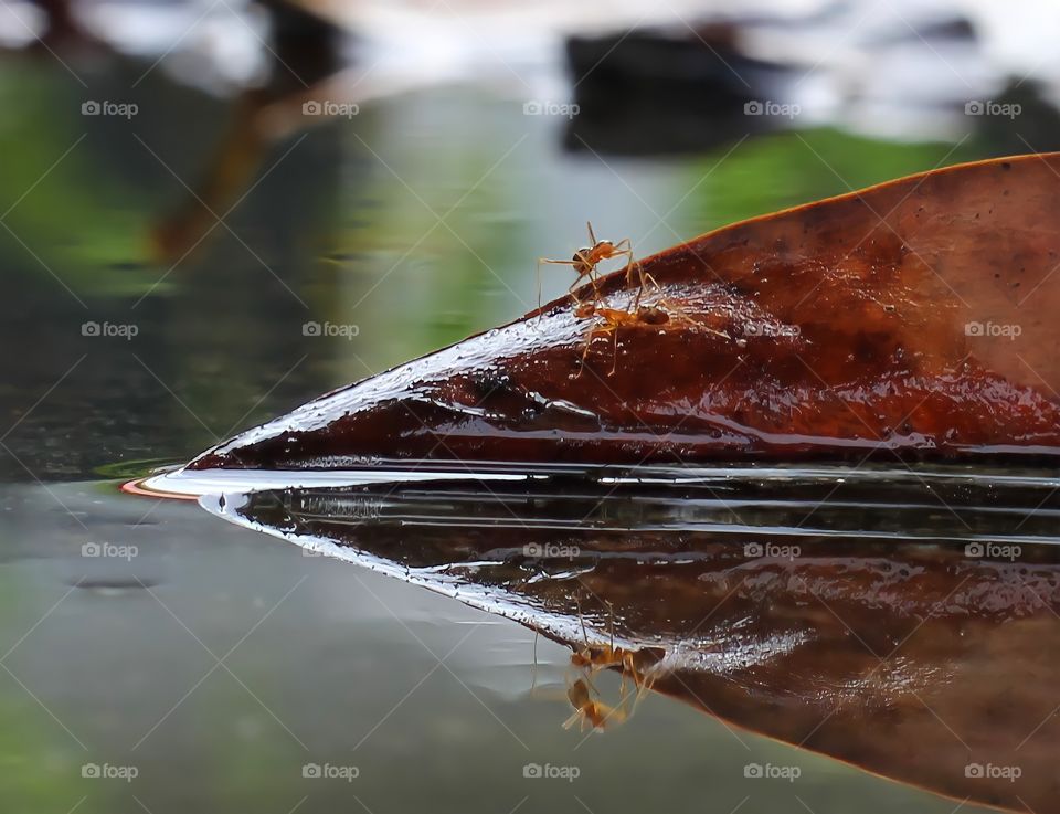 Sometimes, life needs friends, for us to laugh, to tell stories in order to prevent depression