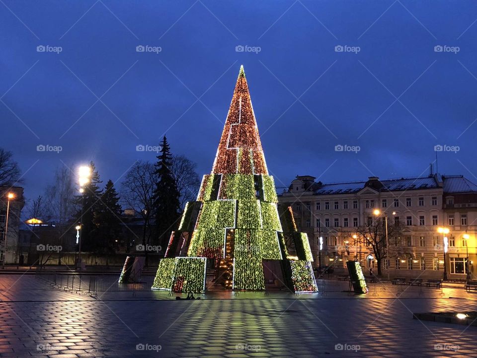 christmas tree in Vilnius