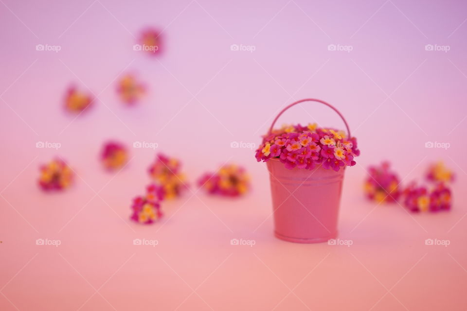 Close-up of a flower bucket