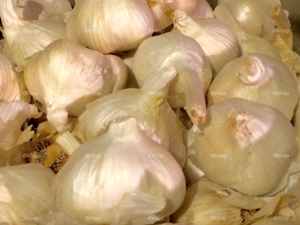 Garlic